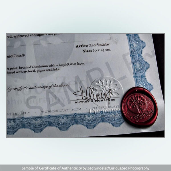 Certificate of Authenticity - Zdenek Sindelar of CuriousZed Photography (sample)